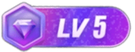 LV5 等级-LV5-